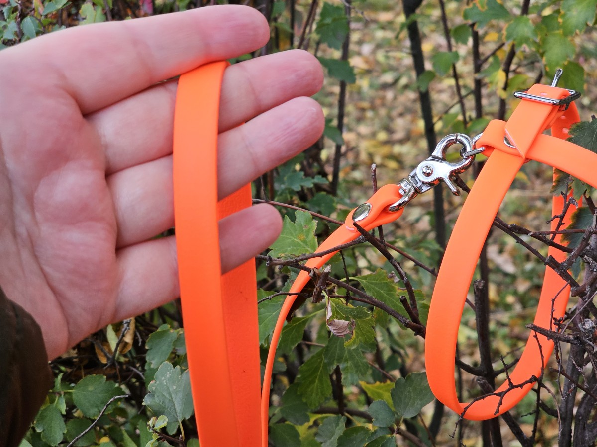 Saugios petnešos katėms (komplektas) - Image 5