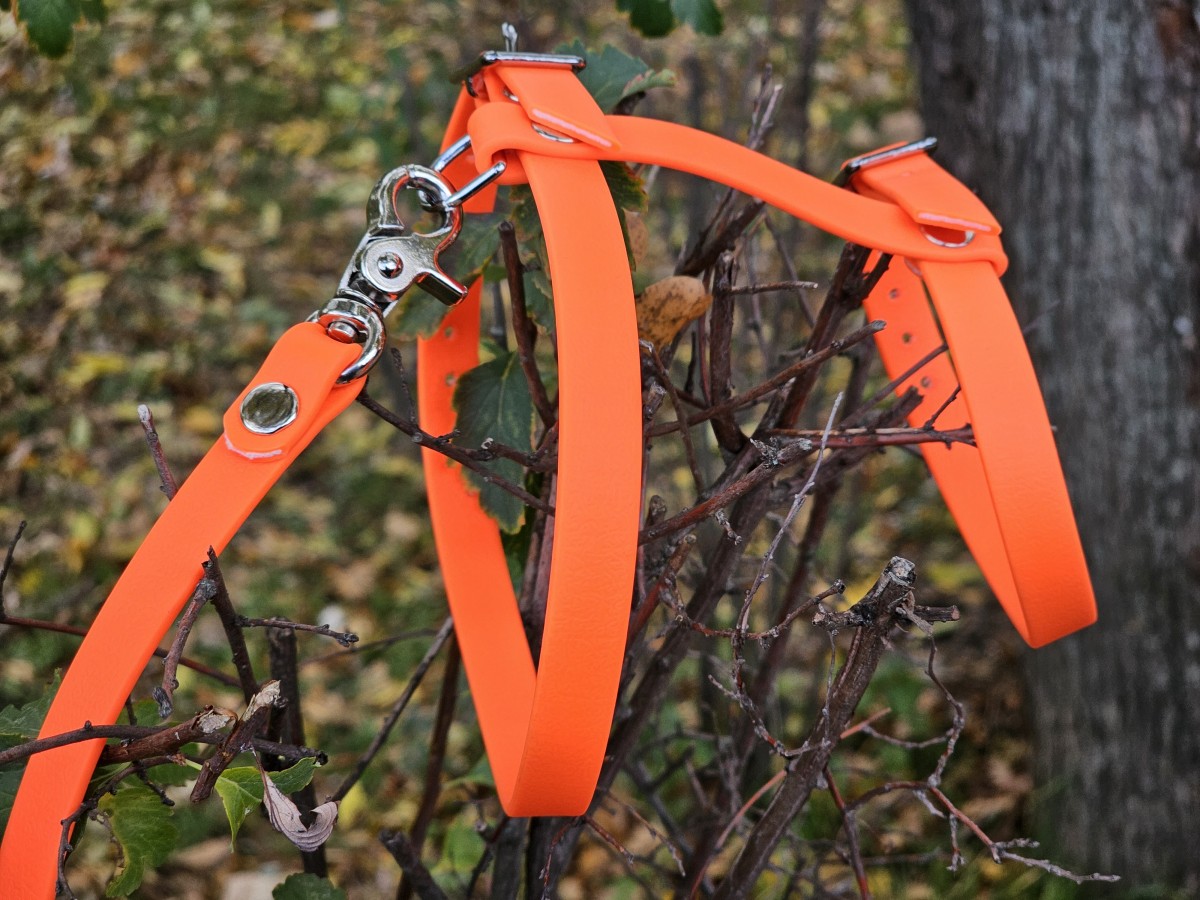 Saugios petnešos katėms (komplektas) - Image 3