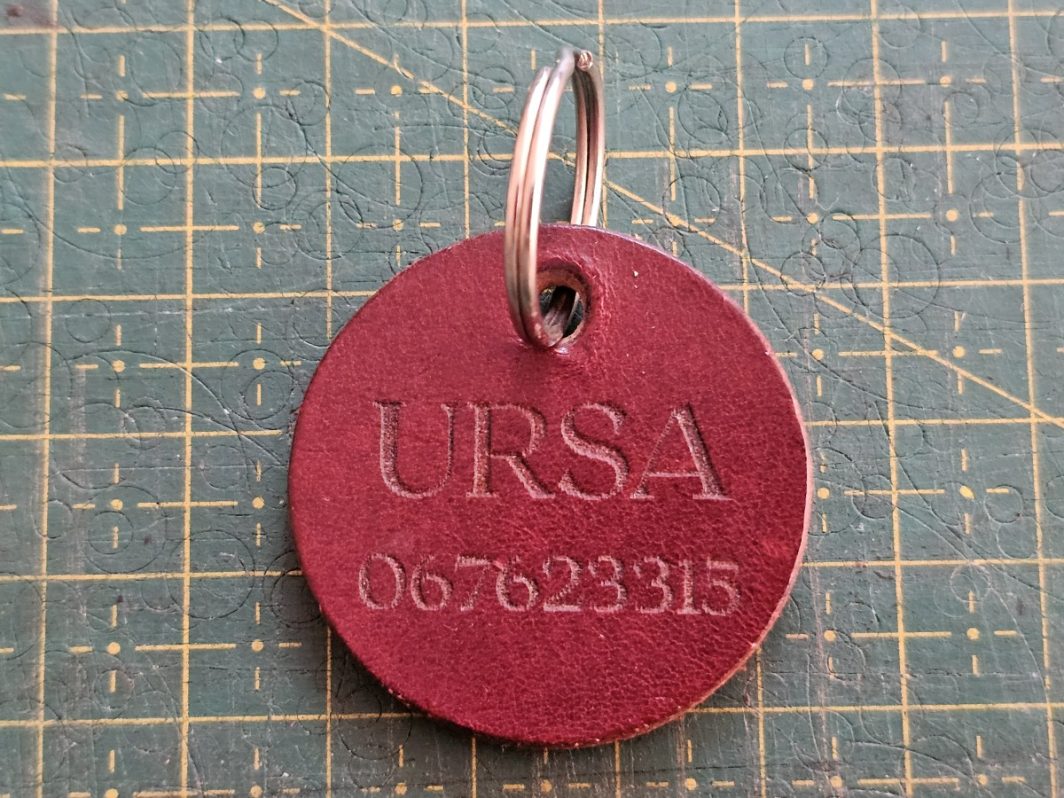 Odinis pakabukas šuniui/ Leather dog tag