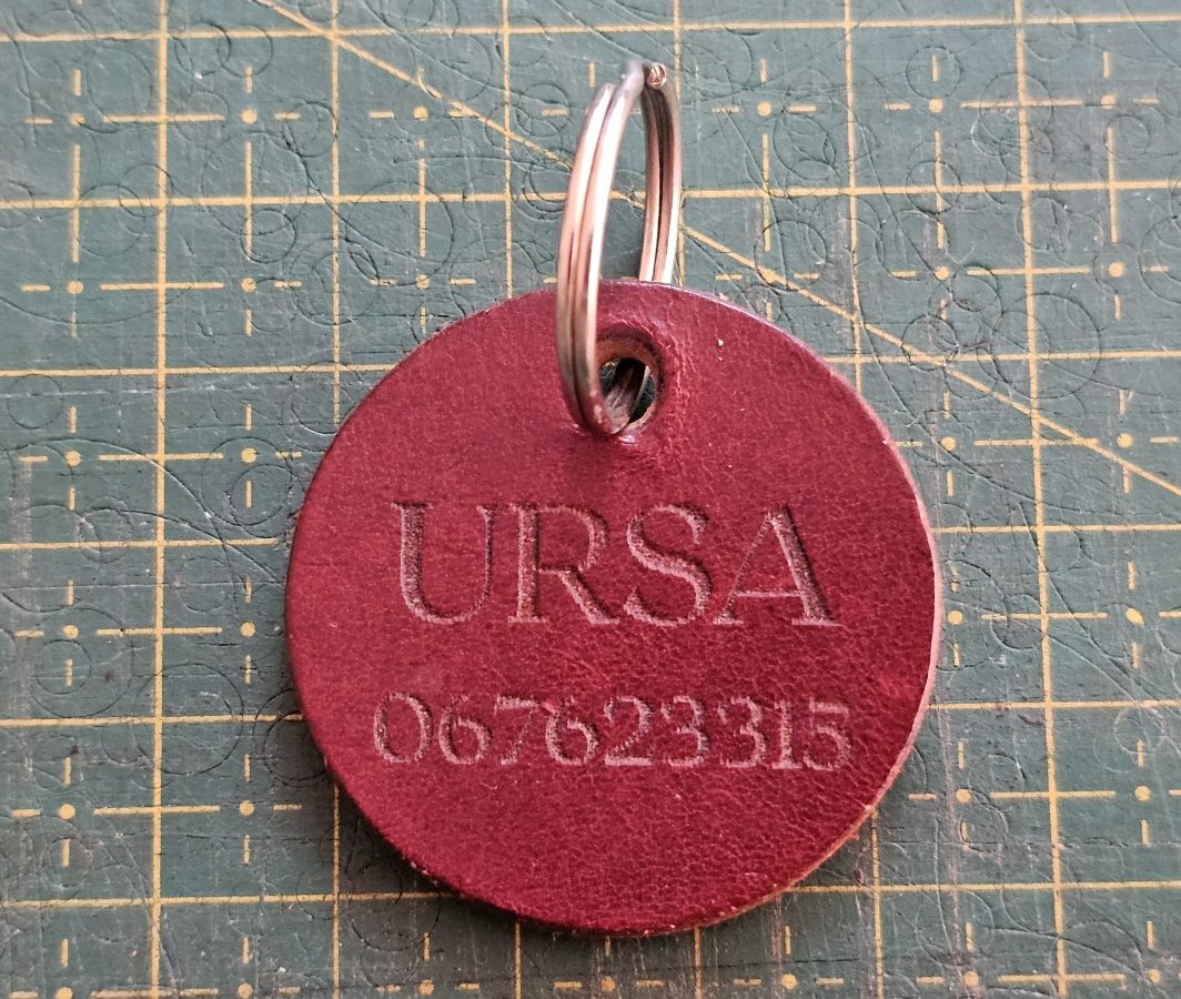 Odinis pakabukas šuniui/ Leather dog tag