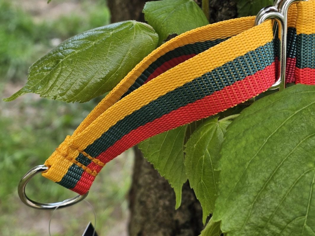 "Lietuviškas", martingale - Image 4
