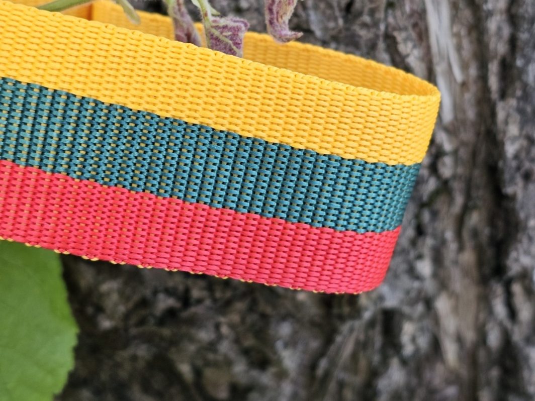 "Lietuviškas", martingale - Image 2