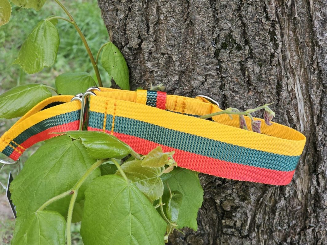 "Lietuviškas", martingale