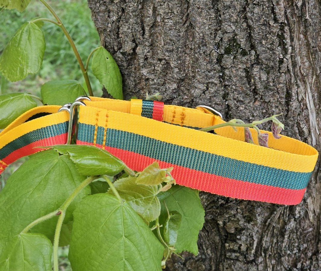 "Lietuviškas", martingale