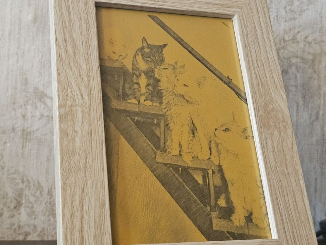 Graviruota nuotrauka rėmelyje - Image 4
