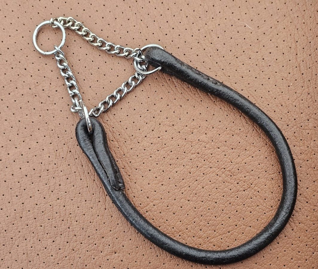 Apvalios odos martingale