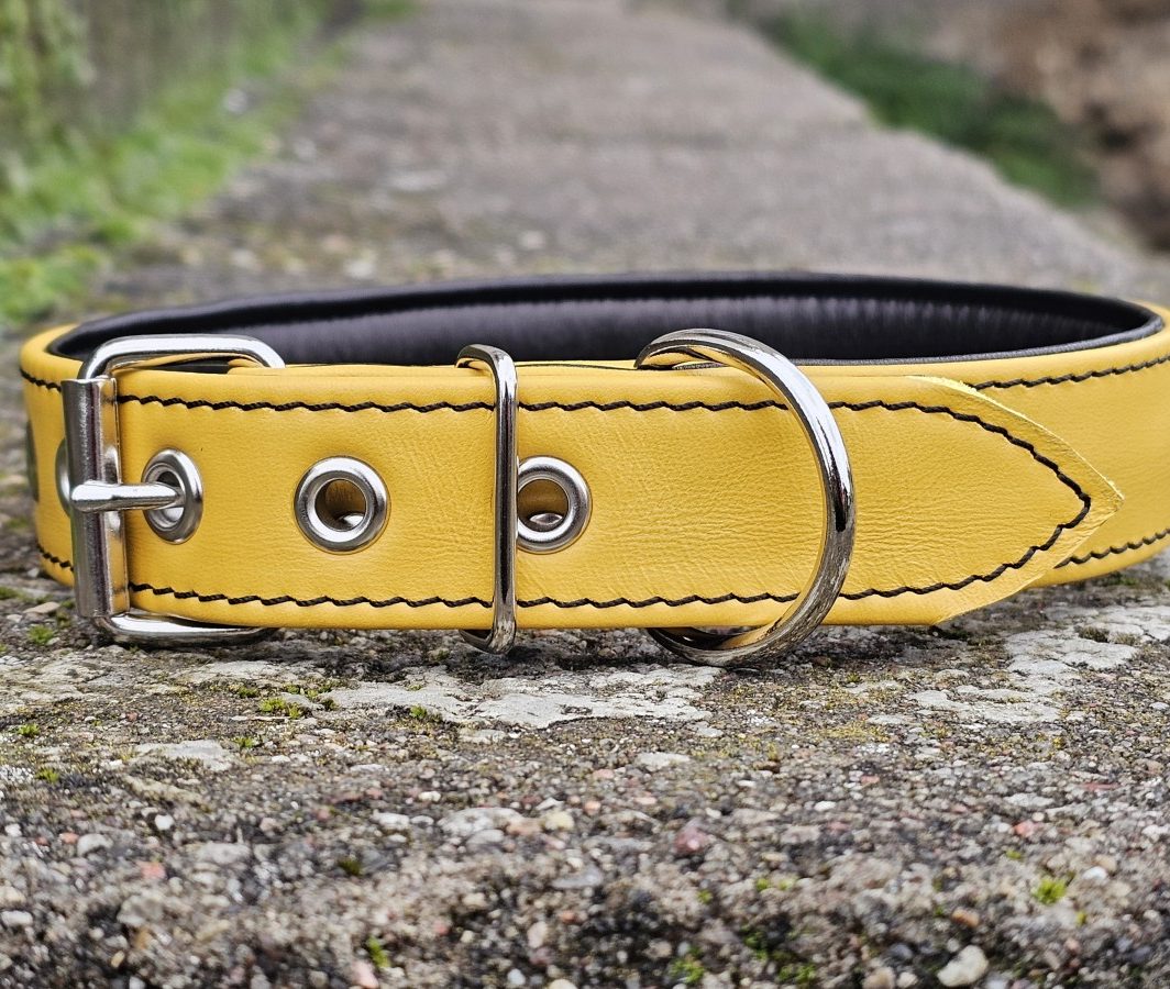 Odinis antkaklis su paminkštinimu "Stiprioji bitutė", pagamintas (kaklo apimtis 43-55 cm)