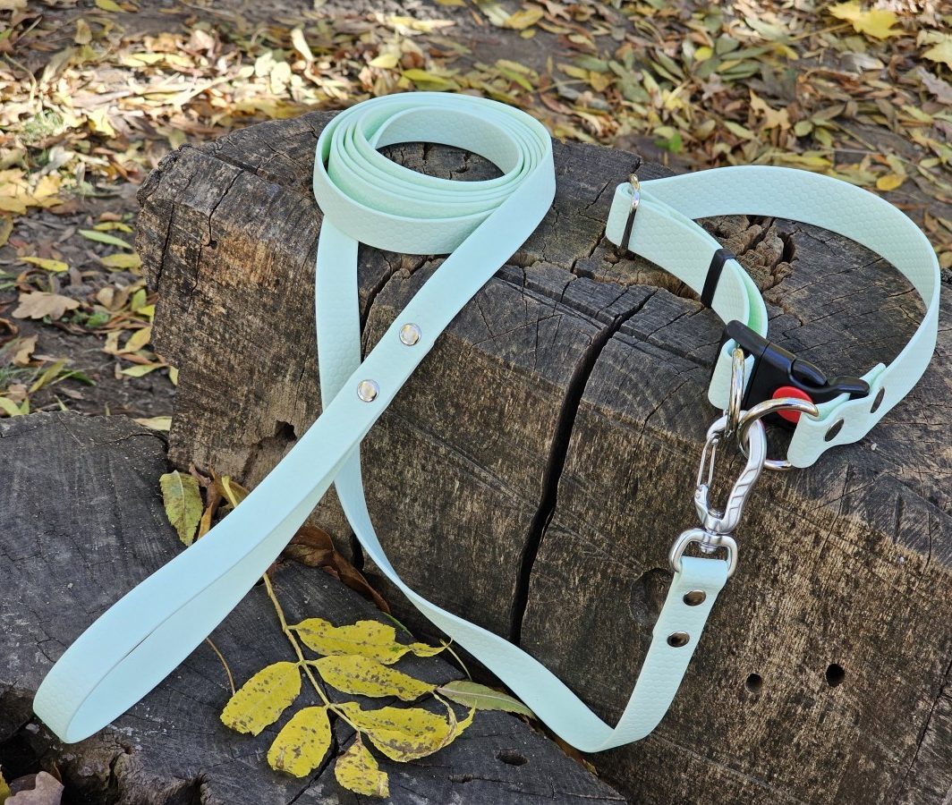 "Mėtinis Hexa rinkinys"