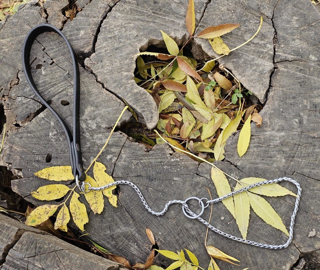 Parodinis pavadys su grandinėle