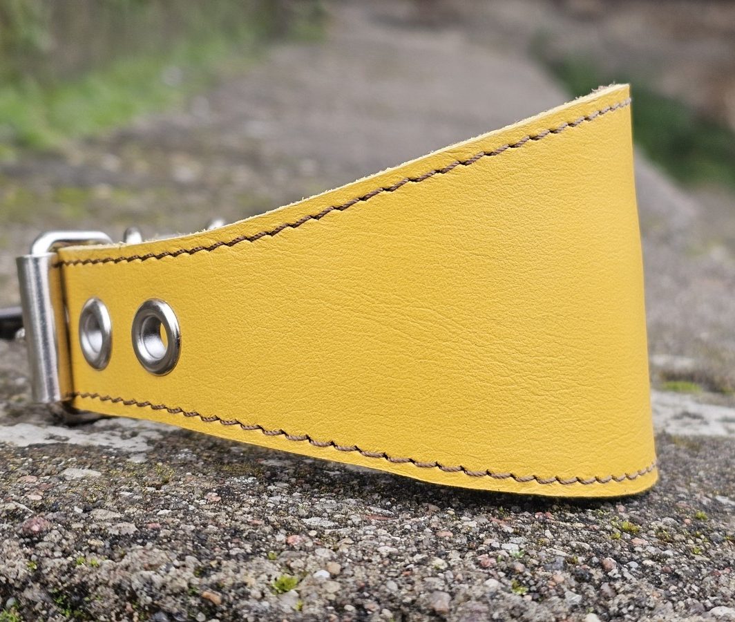 "Kava" - geltonas, pagamintas (kaklo apimtis 23-30 cm)