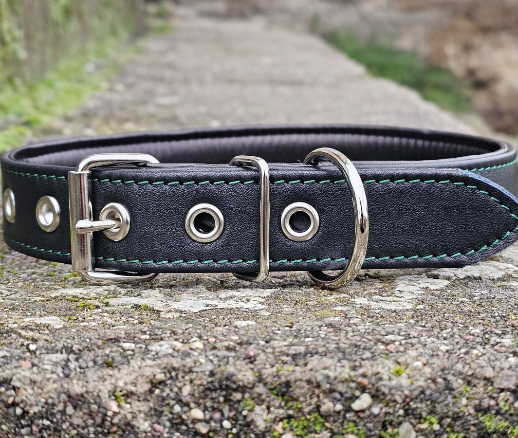 Odinis antkaklis su paminkštinimu "Stiprioji atila", pagamintas (kaklo apimtis 46-60 cm)