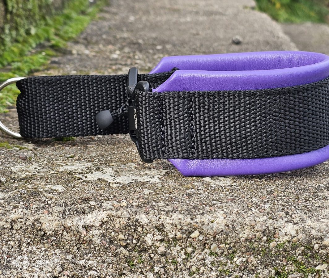 MAGNETINĖ SAGTIS – VIOLETINĖ ODA