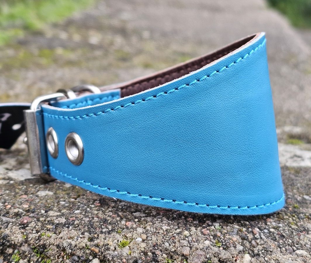 "Kava" - žydras, pagamintas (kaklo apimtis 23-30 cm)