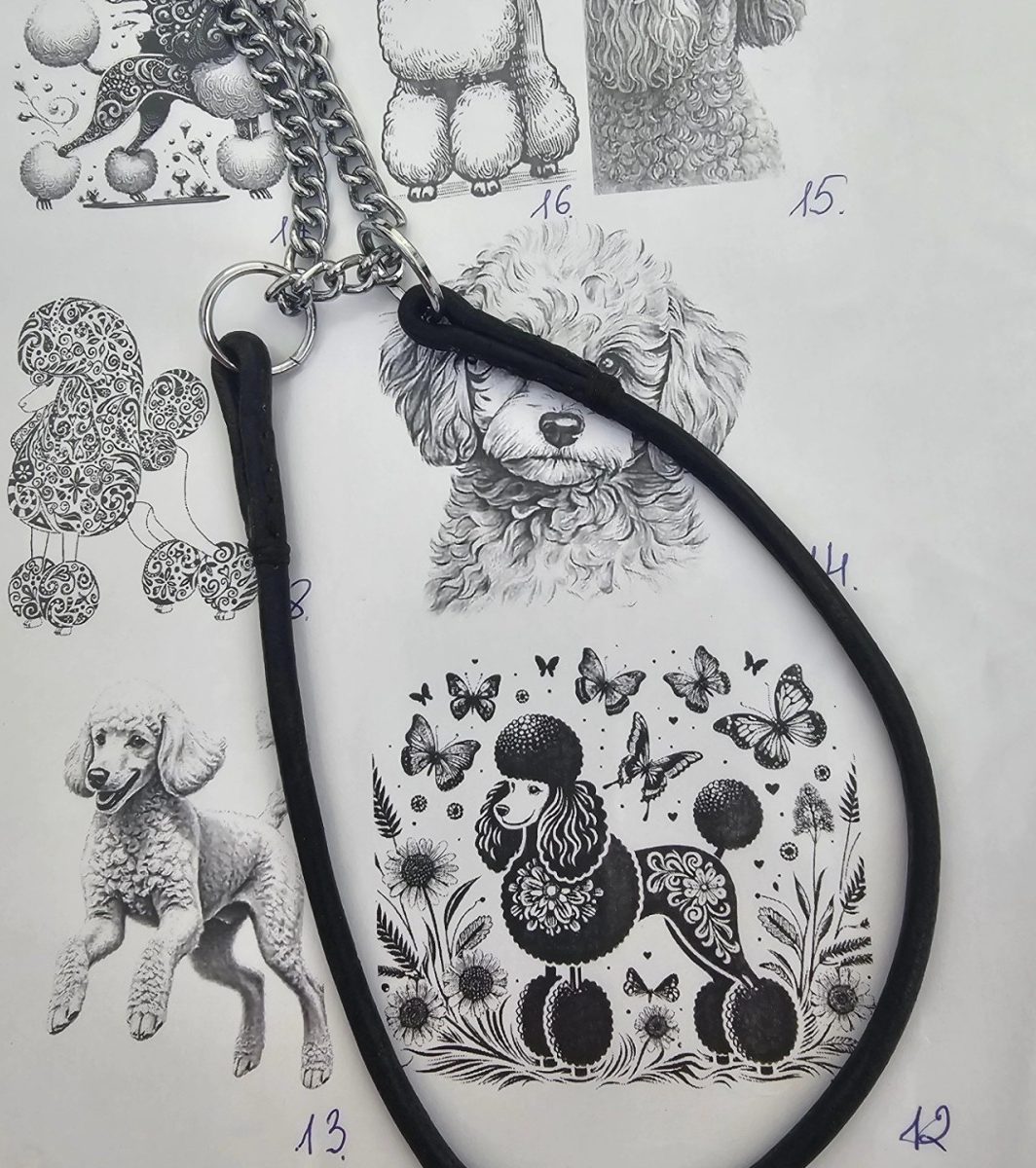 Apvalios odos martingale