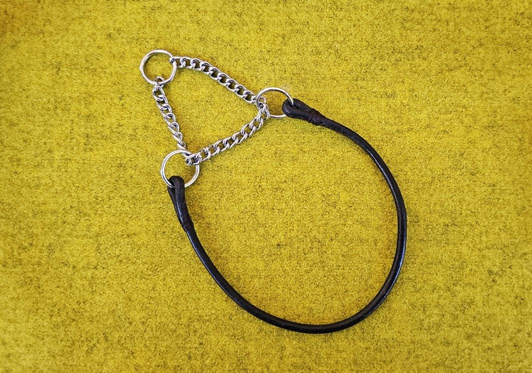 Apvalios odos martingale