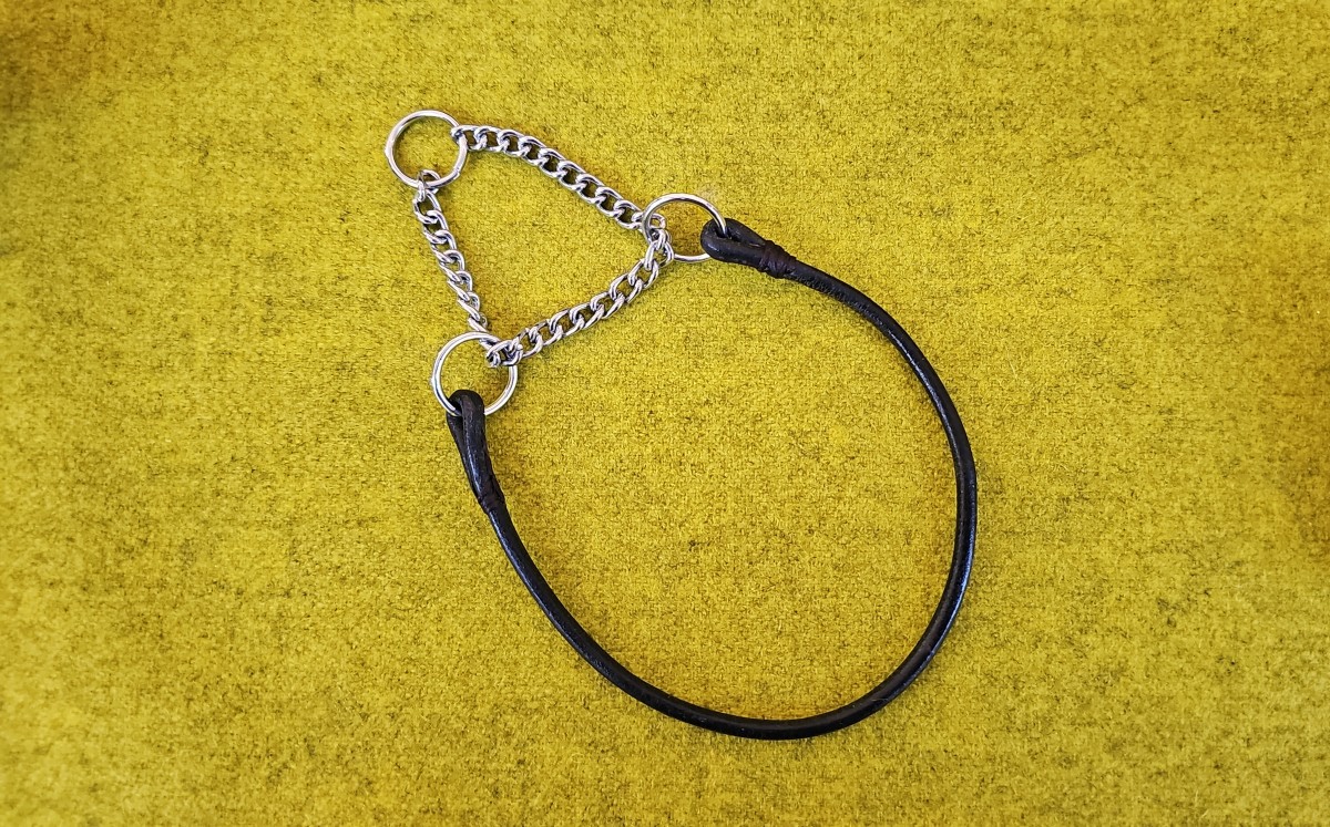 Apvalios odos martingale