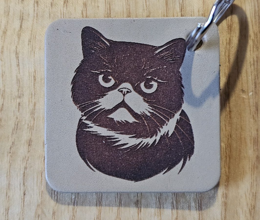 Raktų pakabukas "Rimtas katinas"