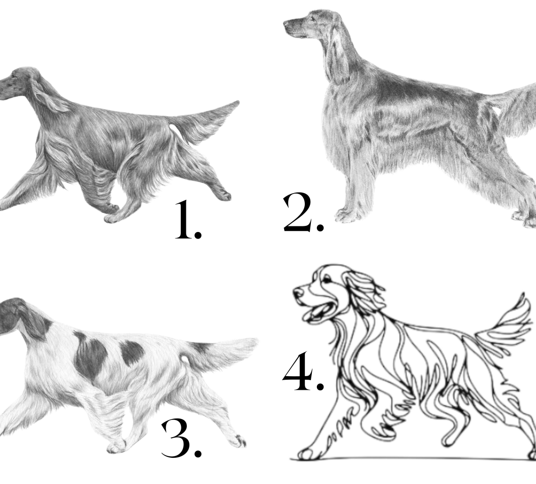 Raktų pakabukas "AIRIŲ SETERIS" - išsirink piešinį