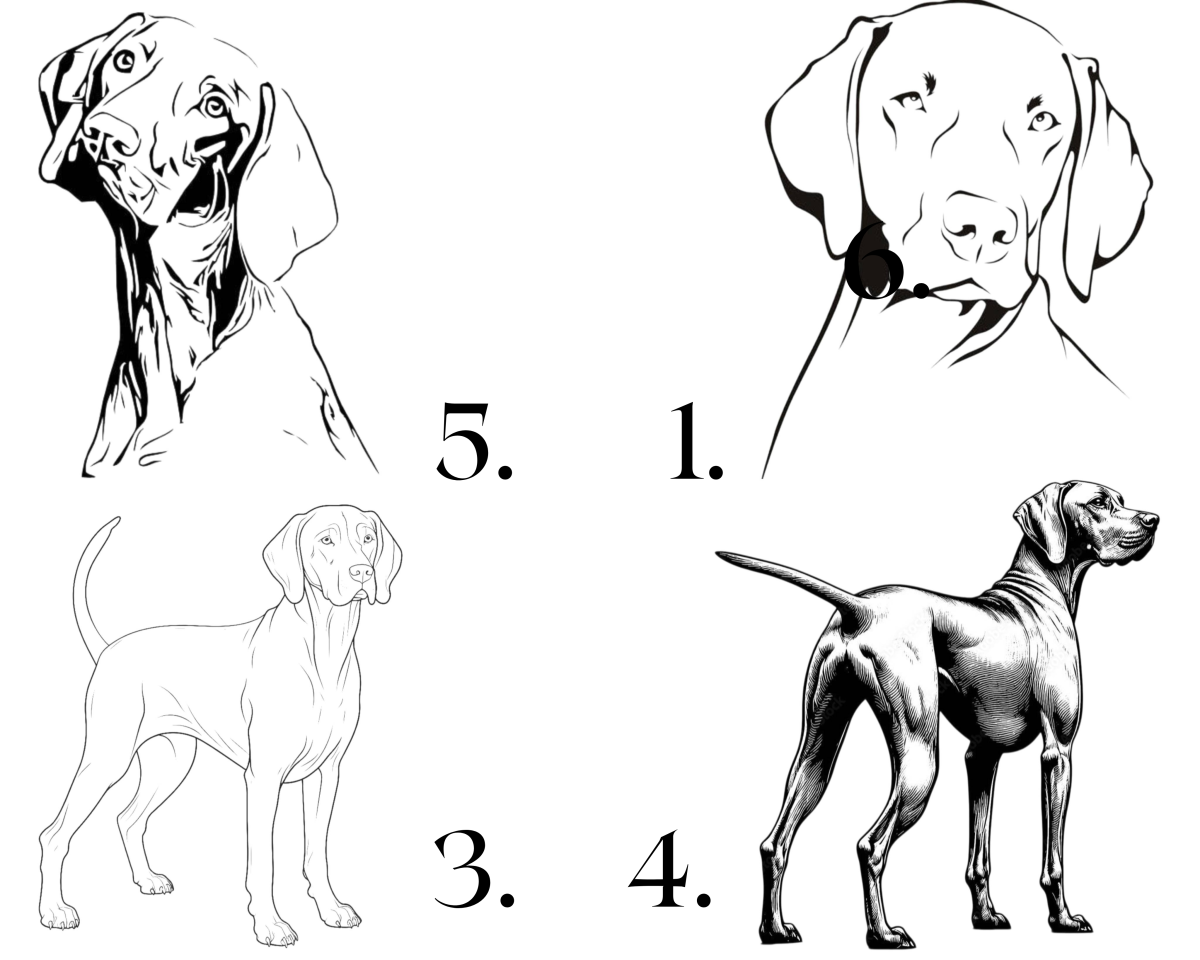 Raktų pakabukas trumpaplaukis vengrų vižlas