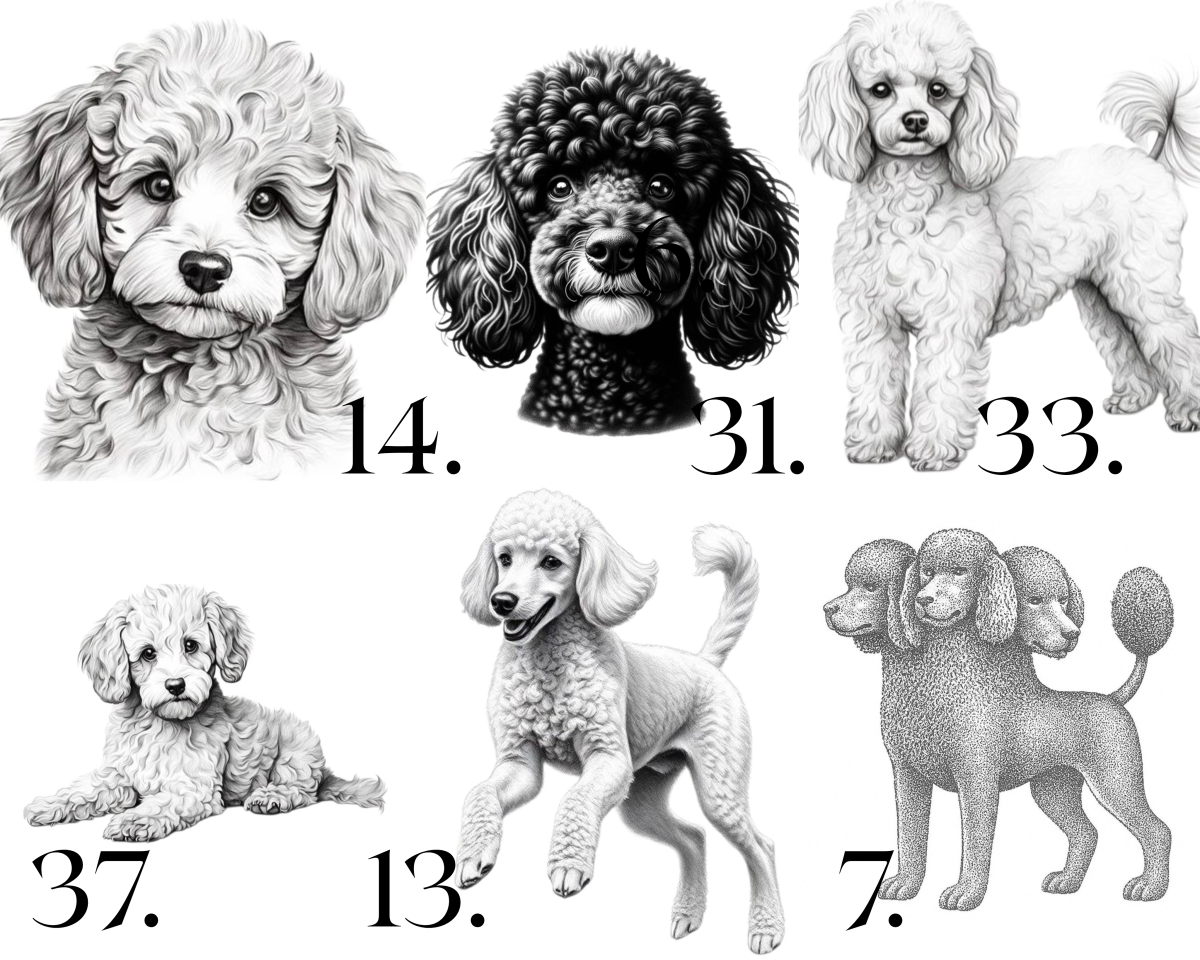 Raktų pakabukas "PUDELIAI" - išsirink piešinį - Image 8