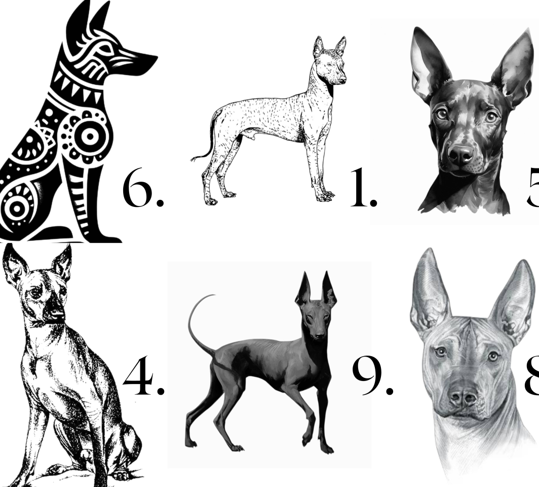 Raktų pakabukas "Xoloitzcuintle" - išsirink piešinį