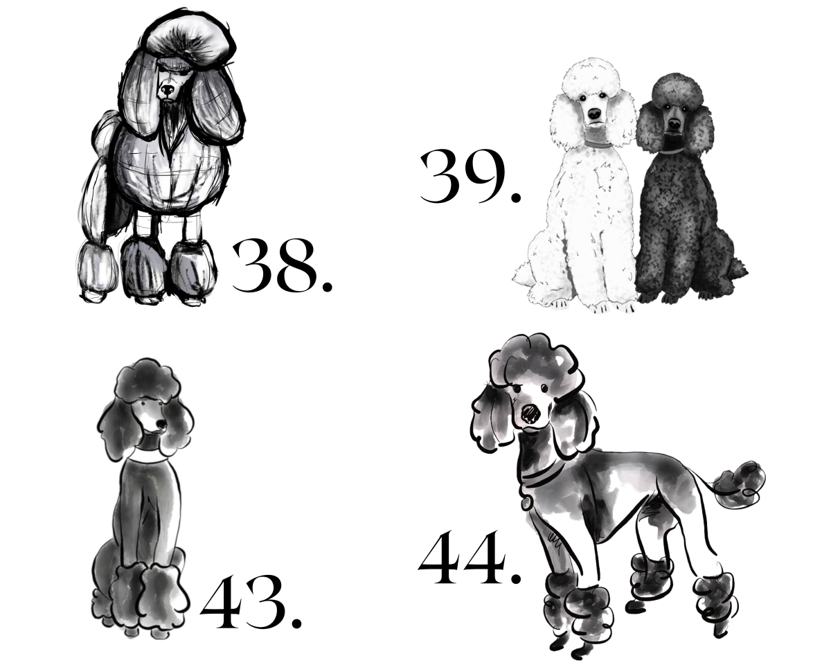 Raktų pakabukas "PUDELIAI" - išsirink piešinį - Image 7