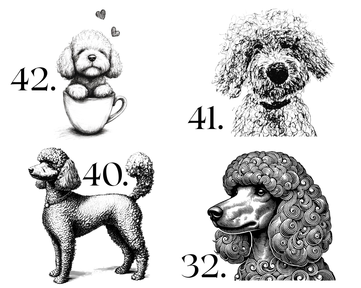 Raktų pakabukas "PUDELIAI" - išsirink piešinį - Image 4