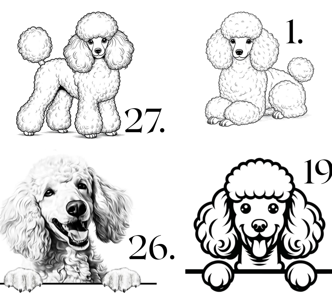 Raktų pakabukas "PUDELIAI" - išsirink piešinį