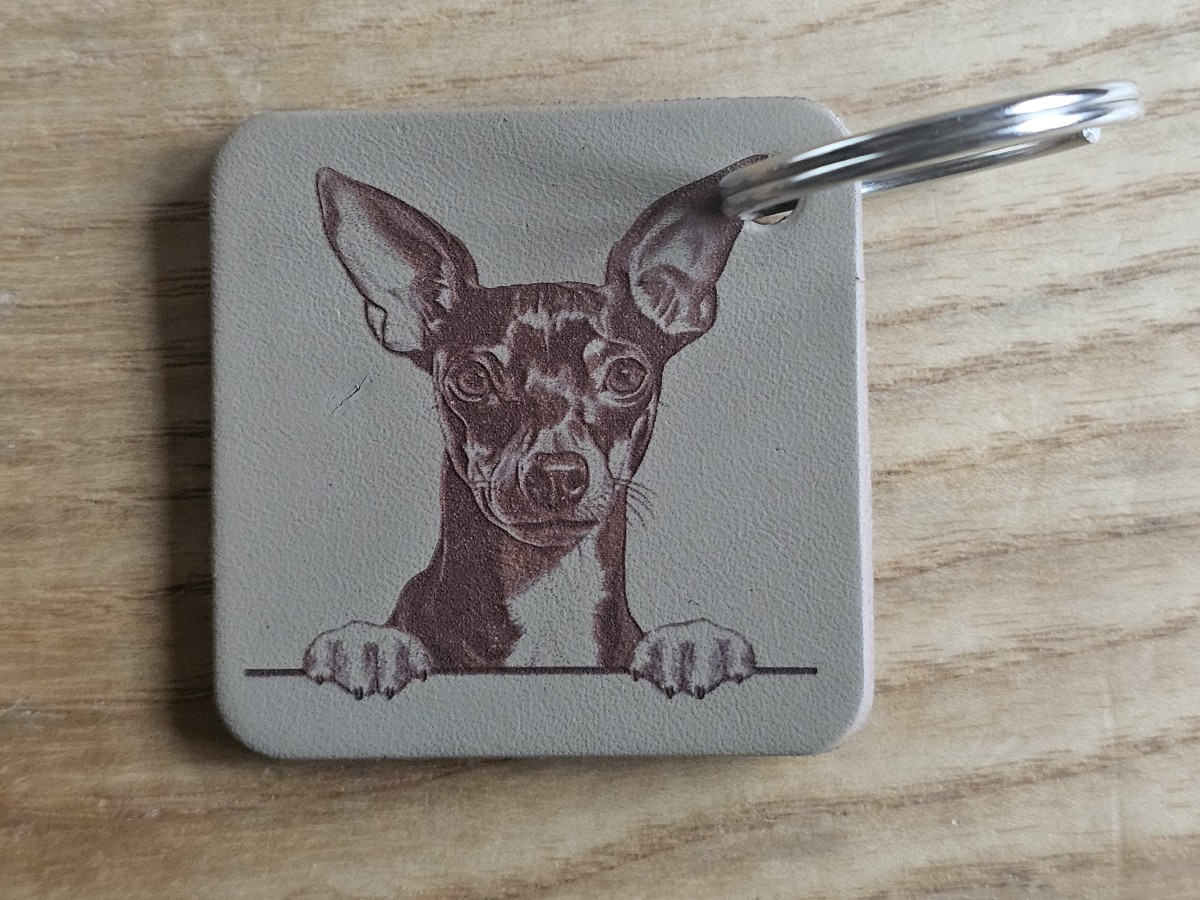 Raktų pakabukas "Cvergpinčeris"