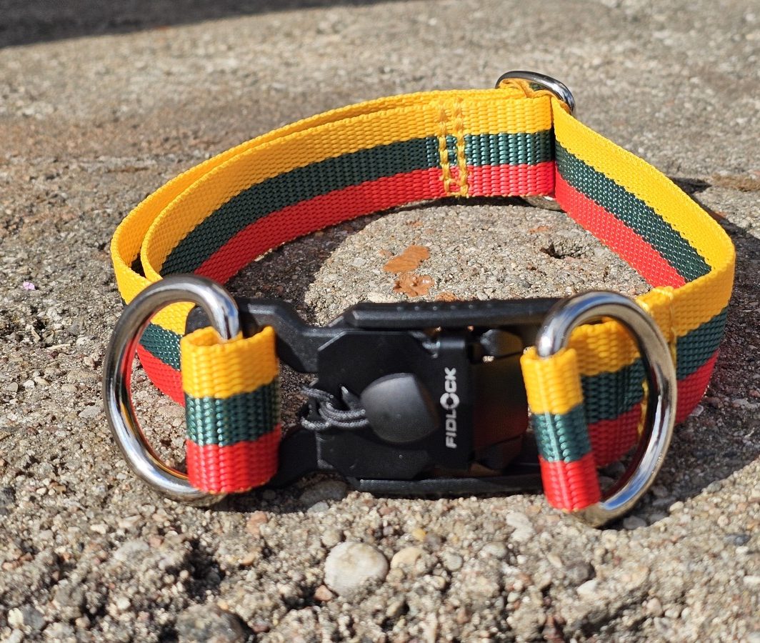 "Trispalvė", magnetinė sagtis