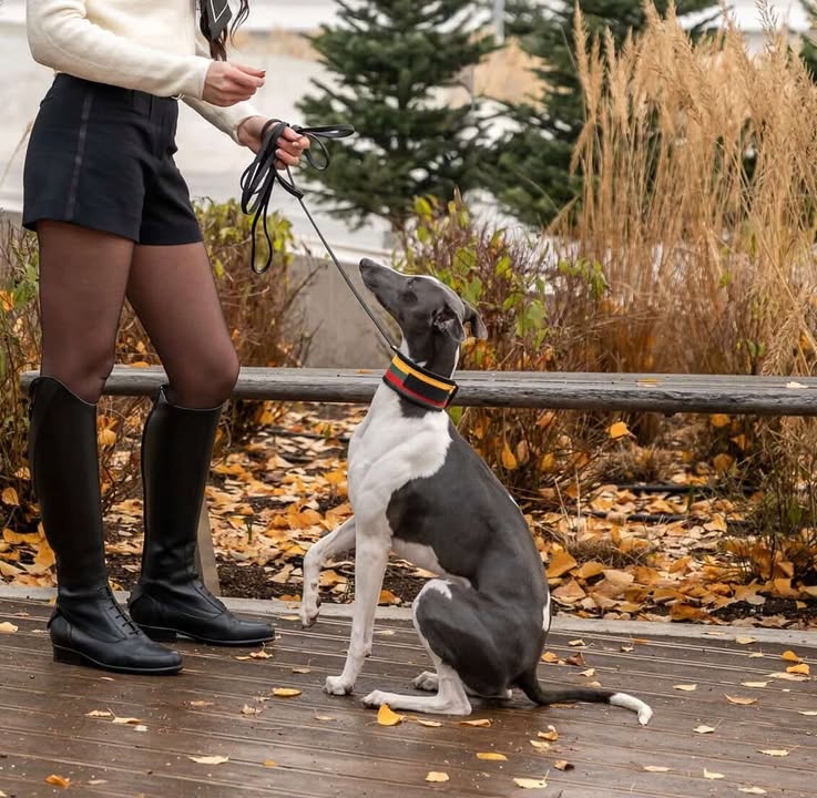 MAGNETINĖ SAGTIS - LIETUVIŠKAS