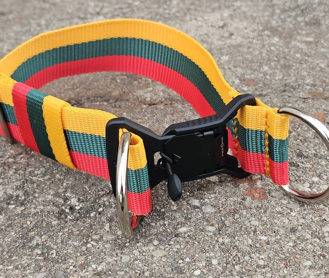 "Trispalvė", (4 cm pločio) magnetinė sagtis