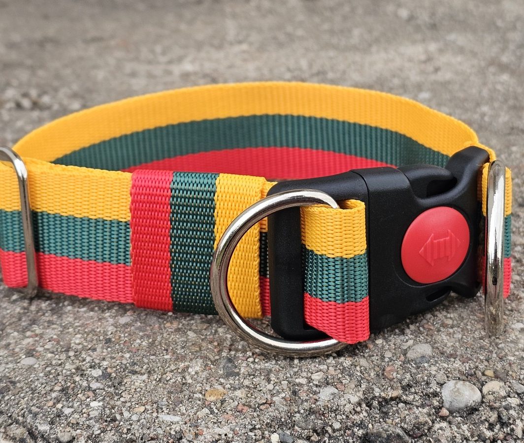 "Trispalvė", (4 cm pločio) rakinama sagtis