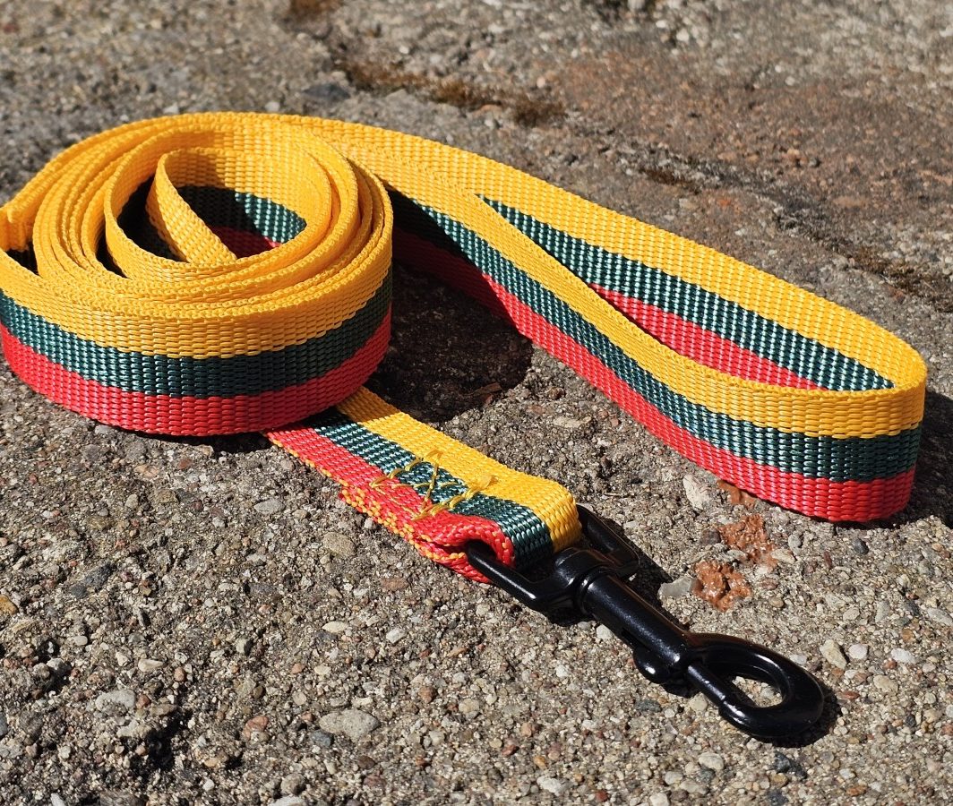 Pavadys "Trispalvė"