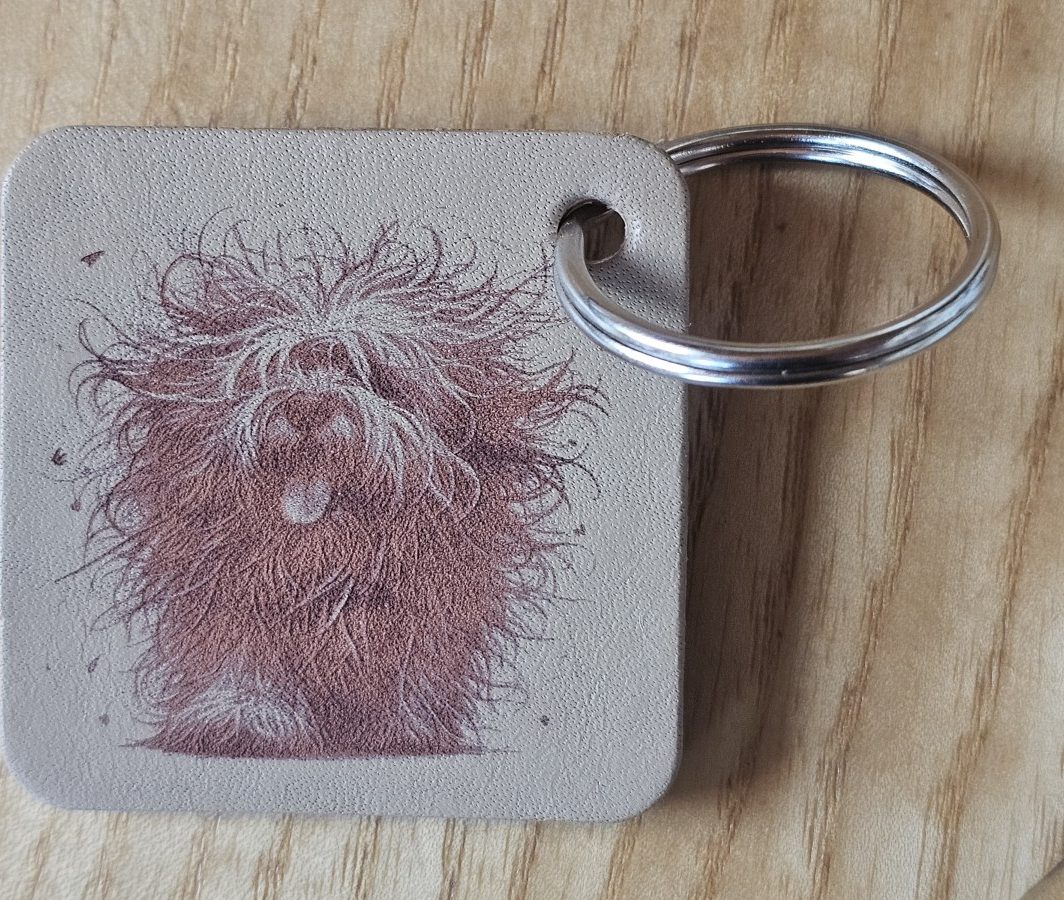 Raktų pakabukas "Barzdotasis kolis"