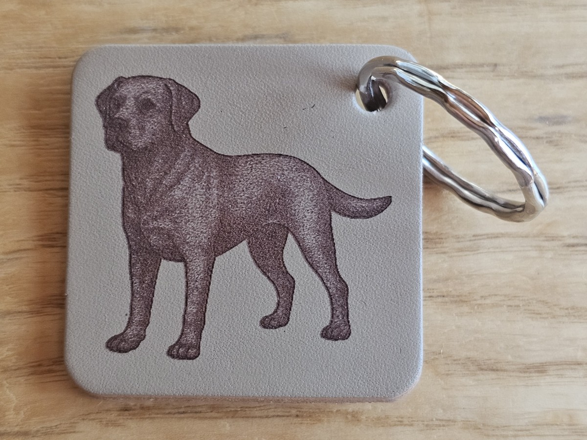Raktų pakabukas "Labradoras šviesus"
