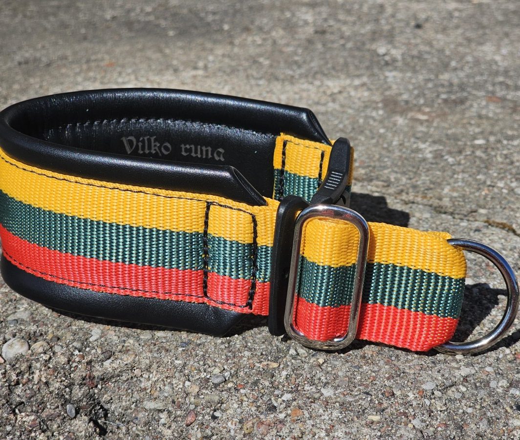 MAGNETINĖ SAGTIS - LIETUVIŠKAS