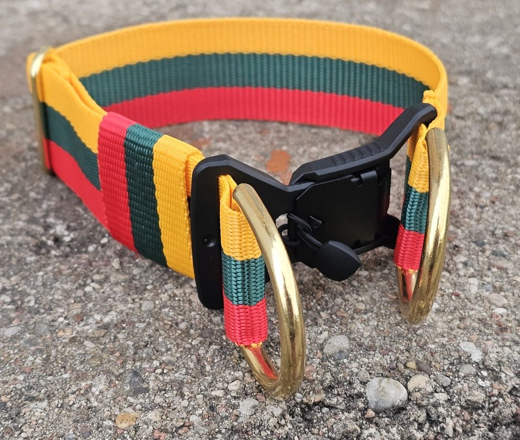 "Trispalvė", (4 cm pločio) magnetinė sagtis ir žalvario furnitūra