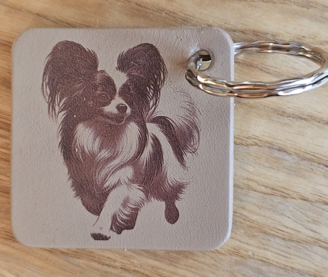 Raktų pakabukas "Papiljonas"