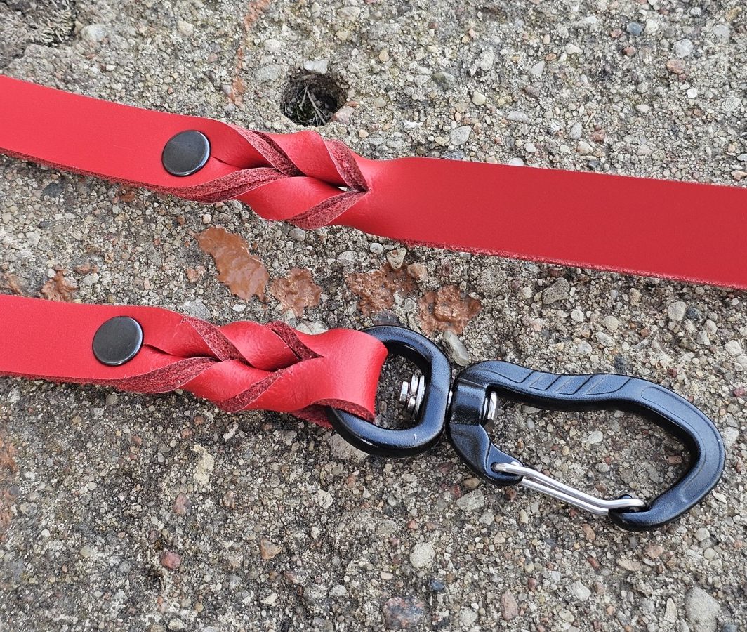 Natūralios odos pavadėlis (~1.14m), pagamintas