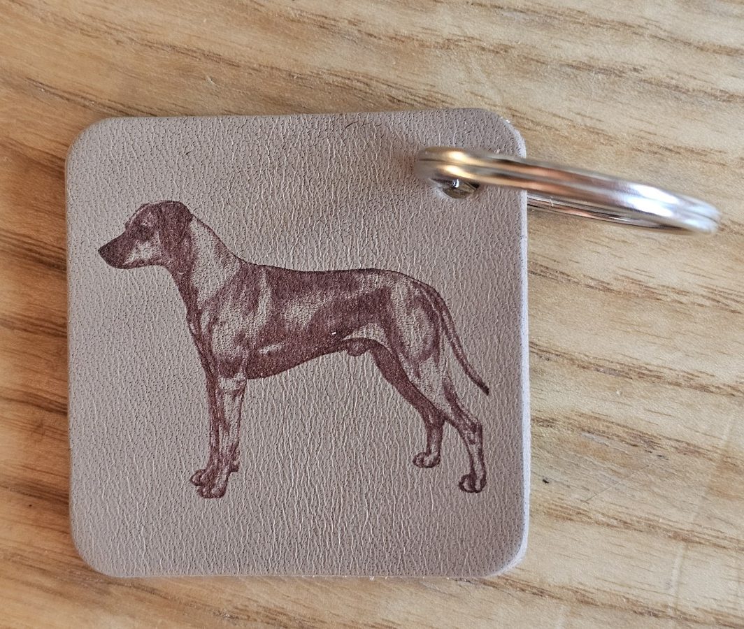 Raktų pakabukas "Rodezijos ridžbekas"