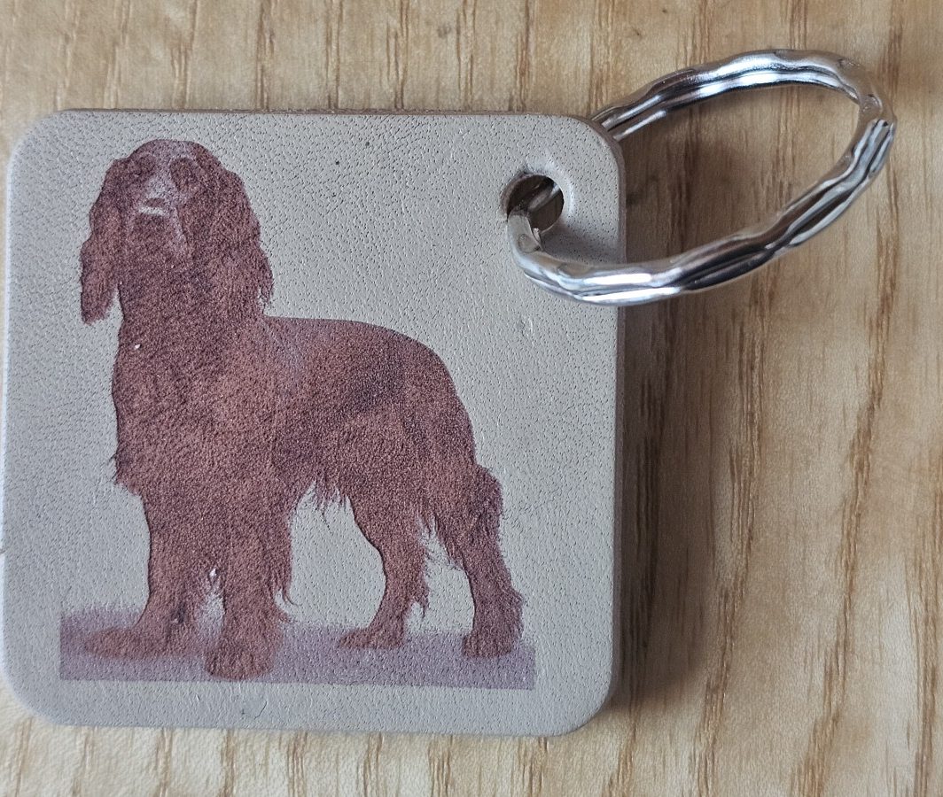 Raktų pakabukas "Škotų seteris"