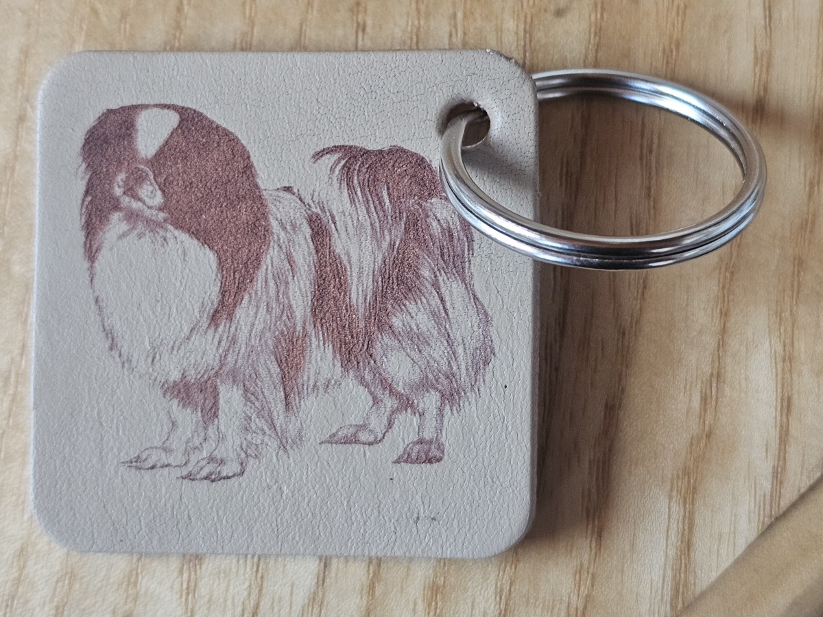 Raktų pakabukas "Japonų činas"