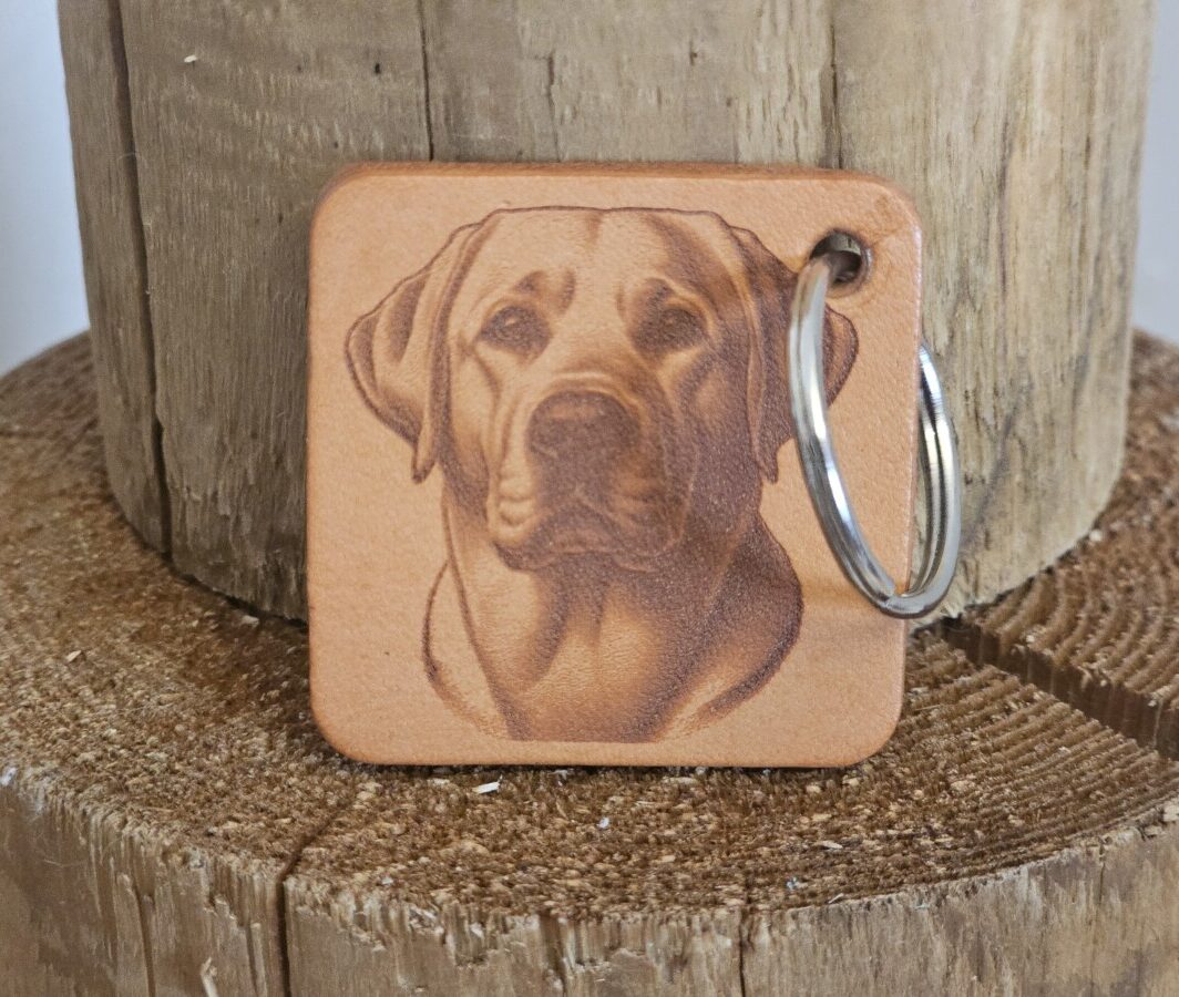 Labradoro retriveris