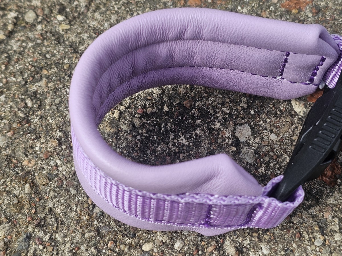 ANTKAKLIS SU MAGNETINE SAGTIMI - PAGAMINTAS, 24 cm - Image 3
