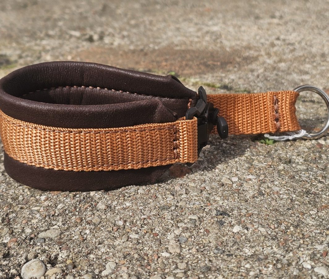 ANTKAKLIS SU MAGNETINE SAGTIMI - PAGAMINTAS, 24 cm