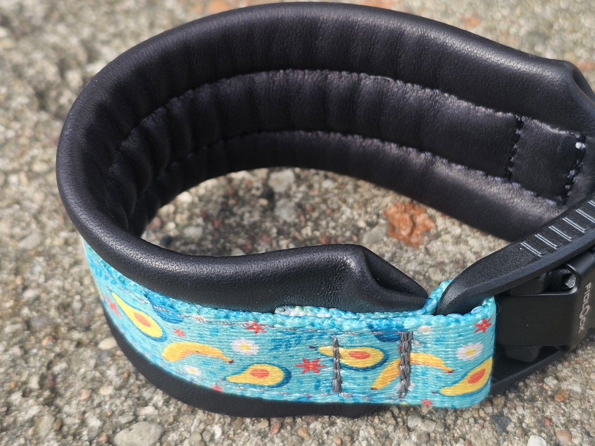 ANTKAKLIS SU MAGNETINE SAGTIMI - PAGAMINTAS, 27 cm - Image 3
