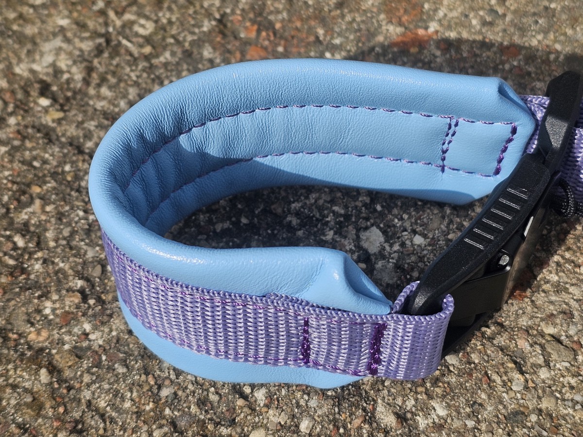 ANTKAKLIS SU MAGNETINE SAGTIMI - PAGAMINTAS, 24 cm - Image 3
