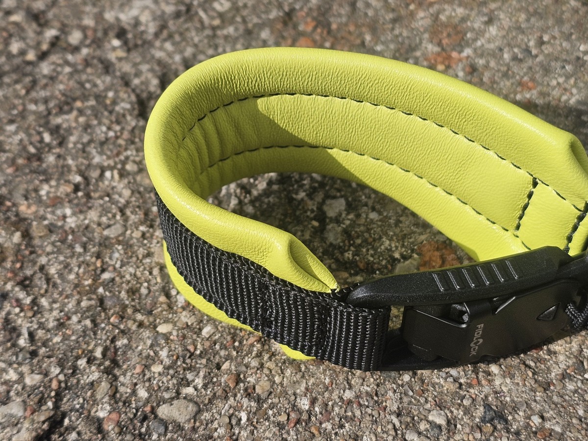 ANTKAKLIS SU MAGNETINE SAGTIMI - PAGAMINTAS, 24 cm - Image 3