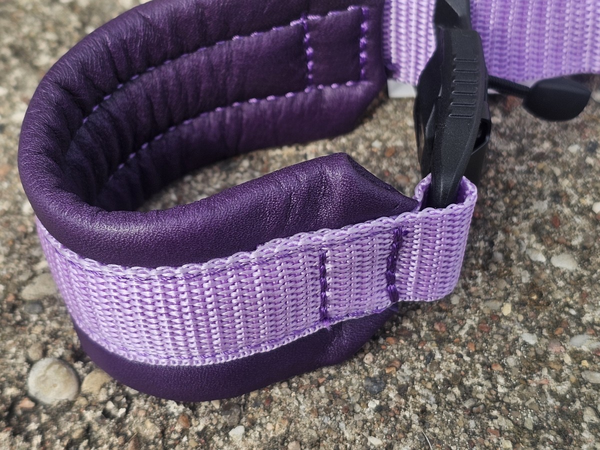 ANTKAKLIS SU MAGNETINE SAGTIMI - PAGAMINTAS, 24 cm - Image 2